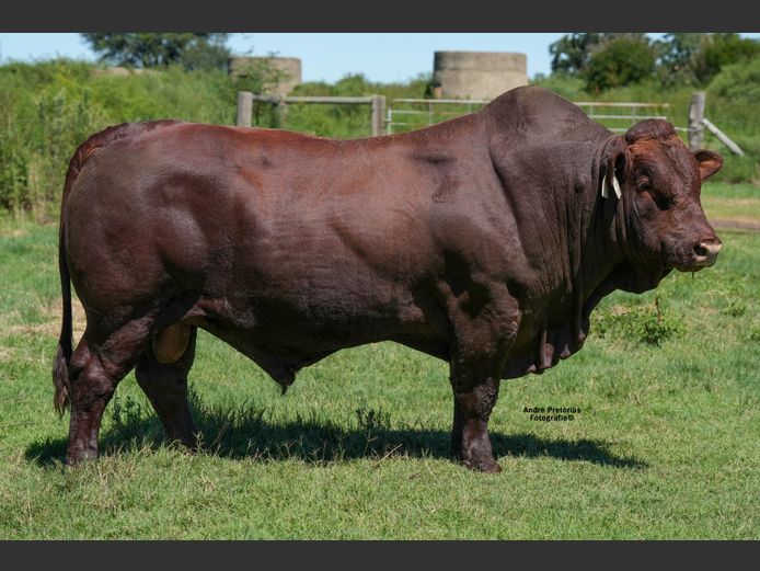 WVZ230010 | THUSO GRAAN EDMS BPK