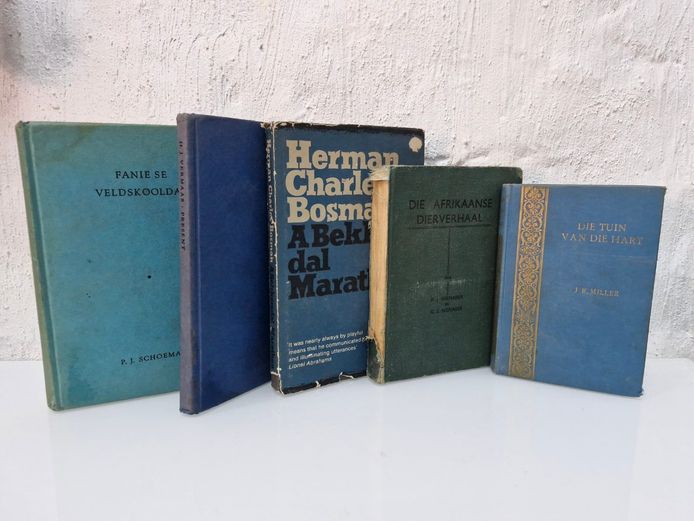 Vintage Afrikaans and South African Literature Collection