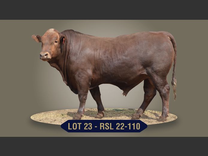 RSL220110 | RASLOU BONSMARAS