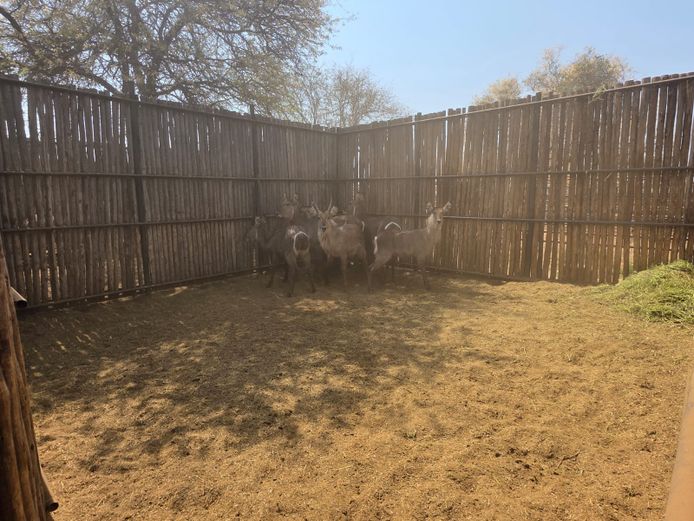 WATERBOK | HANLEY 1