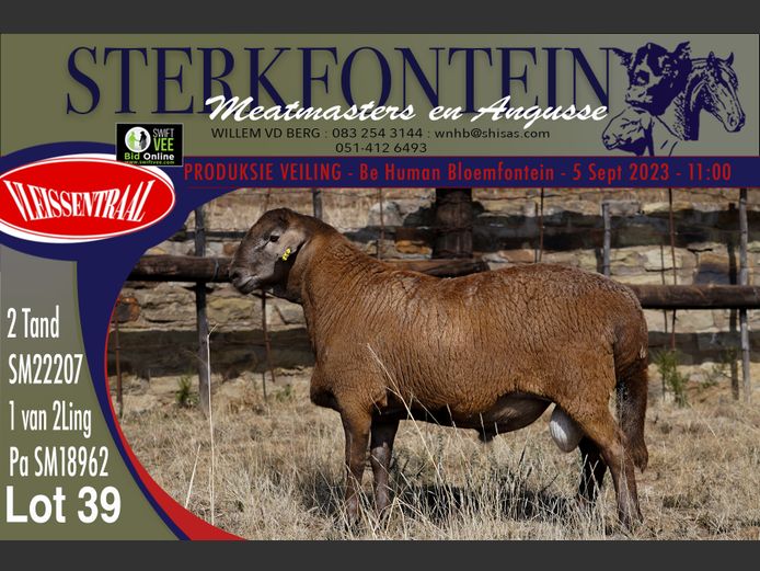 SM 22 207 | Sterkfontein Meatmasters