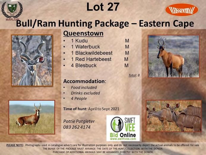 Bull/Ram Hunting Package- Eastern Cape