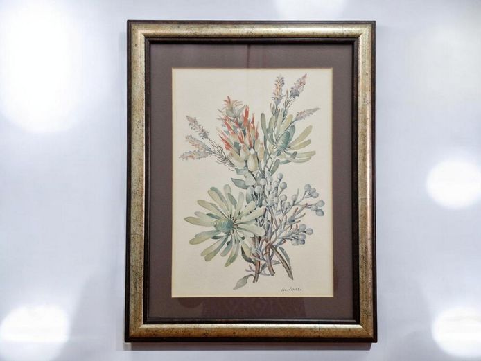 Lee Wille Lithographic Floral Studies