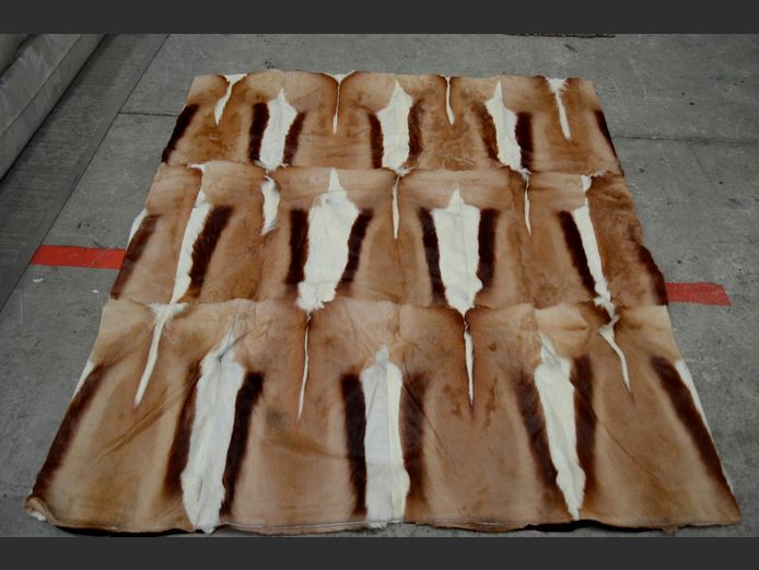 SPRINGBOK HIDE THROW, 170 x 155cm