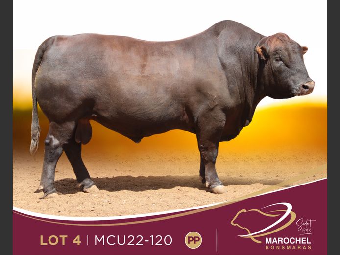 MCU 220120