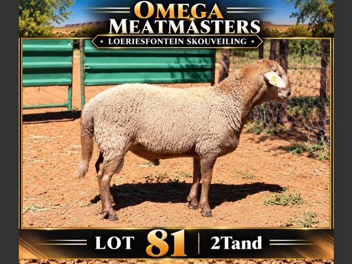 Omega Meatmasters