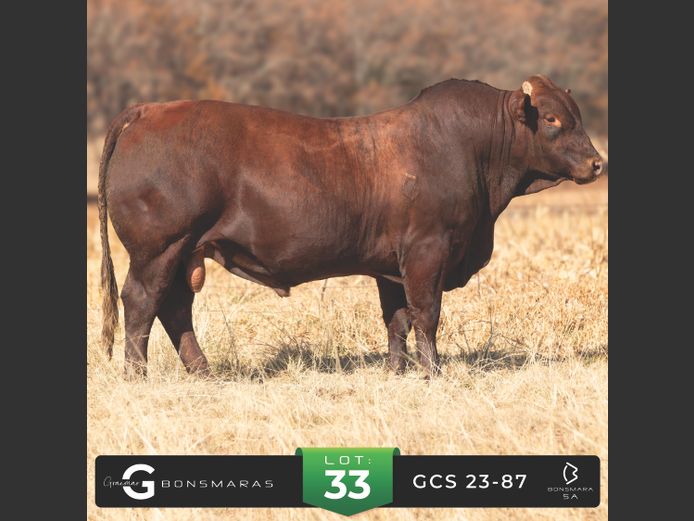 GCS 230087 | G.C. STANFORD