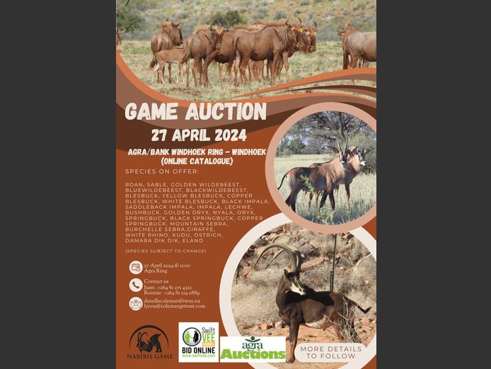 NABIBIS GAME AUCTION