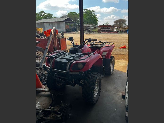 Yamaha Grizzly Quad