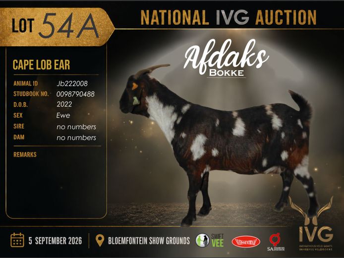 JB22 2008 | AFDAKS BOKKE