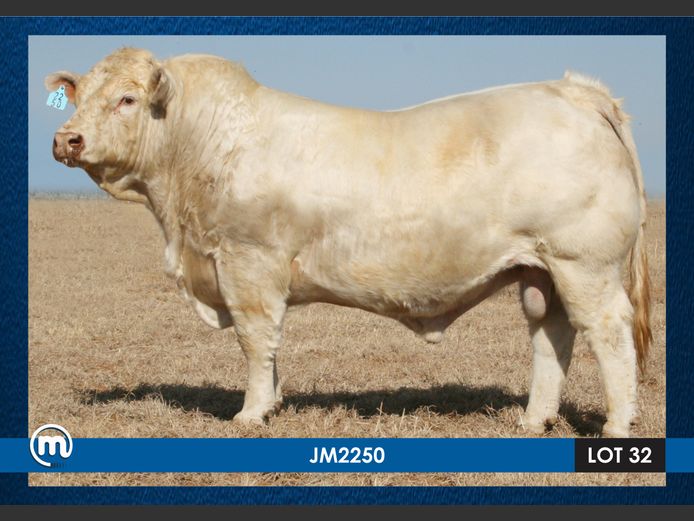 JM 220050