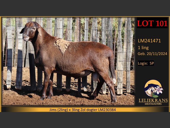 LM241471 | LELIEKRANS MEATMASTERS