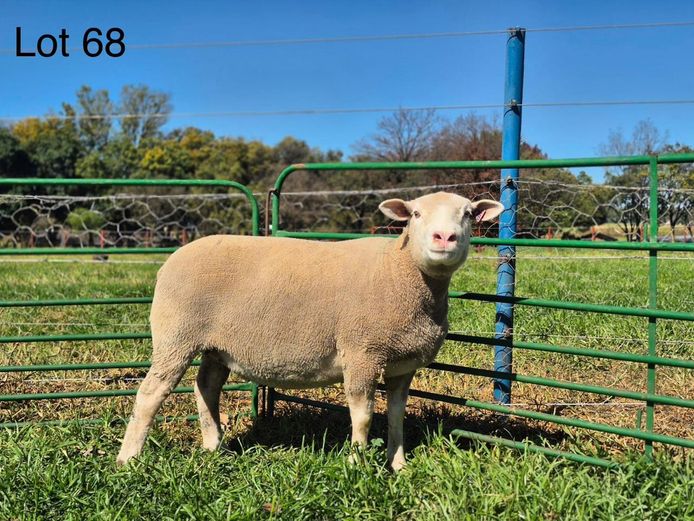 BS  220193 | TAPPS INVESTMENTS