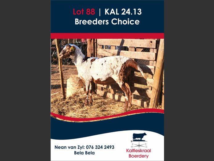 24.13 | KALFIESKRAAL BOERDERY
