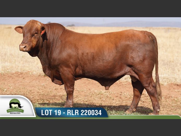 RLR 220034 | RHENOSTERVALLEI