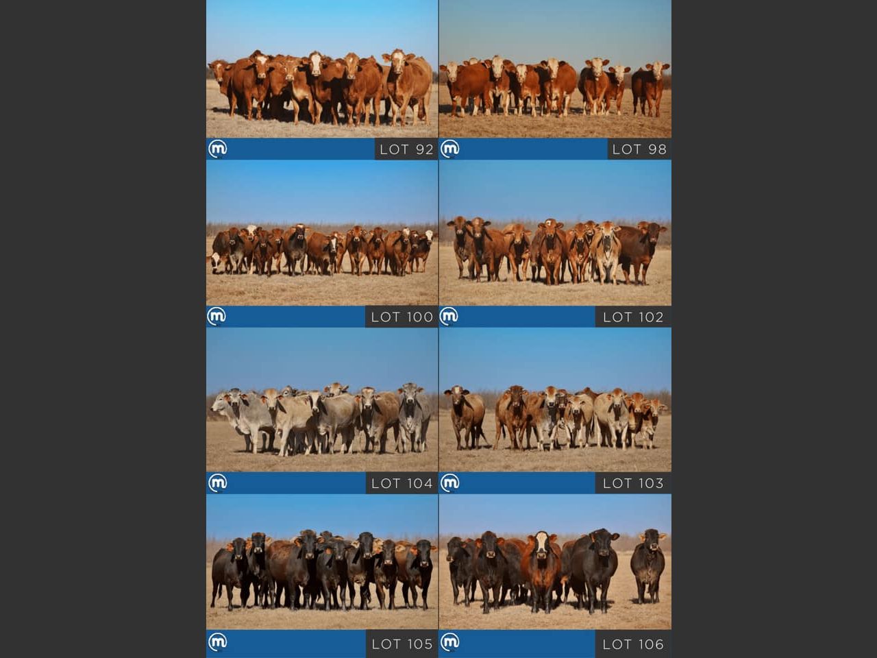 images