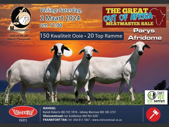 THE GREAT OUT OF AFRICA MEATMASTER SALE